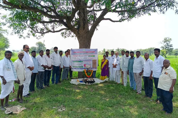 వరి ధాన్యం కొనుగోలు కేంద్రాలు ప్రారంభం 