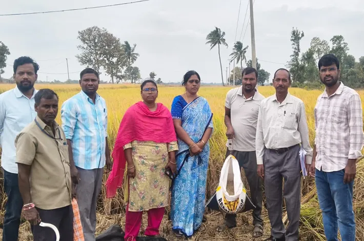పంట దిగుబడి కోసం కోత ప్రయోజనం 