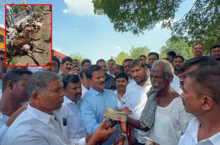 గొర్రెల మందపై దూసుకెళ్లిన రైలు