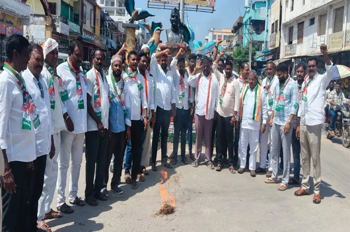 సీఈసీ దిష్టిబొమ్మ దహనం