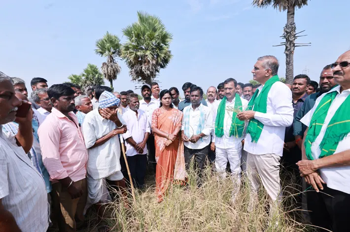 ఎండిన పంటలకు నష్టపరిహారం ఇవ్వాలి