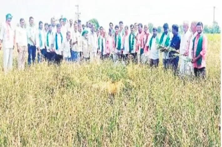 సాగు గోషా... సర్కార్ తమాషా