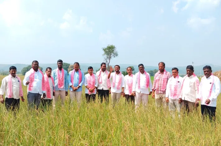 పంట పొలాలను పరిశీలించిన బిఆరెస్ నాయకులు