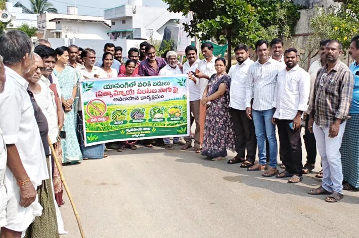 రైతులు వరి, మొక్కజొన్న వంటి పంటలు వేయవద్దు