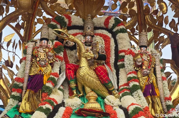 కల్పవృక్ష వాహనంపై కలియుగ దైవం
