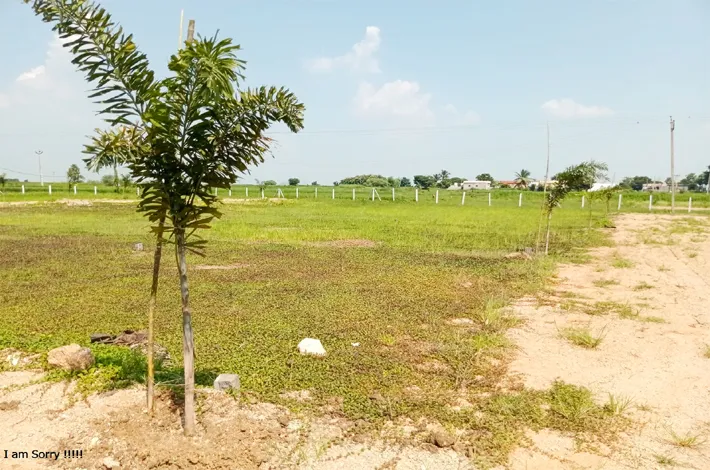 విలాసాగర్‌లో రెండెకరాల్లో వెంచర్