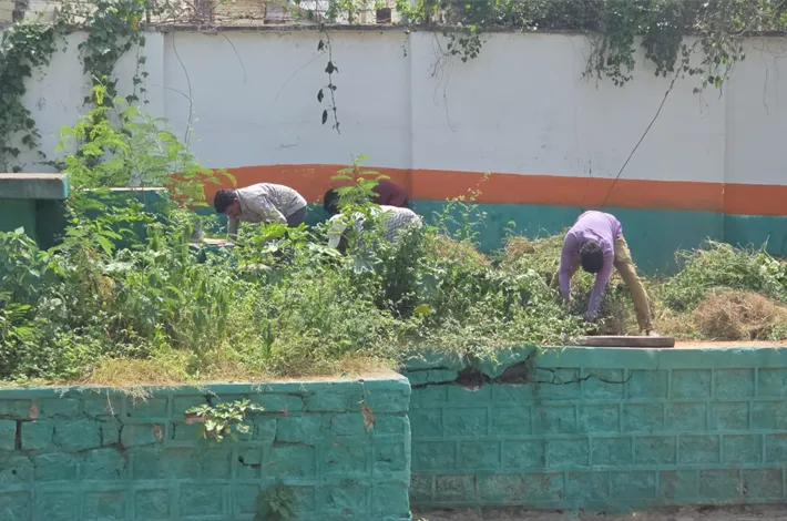 ఎఫ్​సీఐలో  ఆవరణంలో శానిటేషన్​ స్పెషల్ క్యాంపెయిన్​...