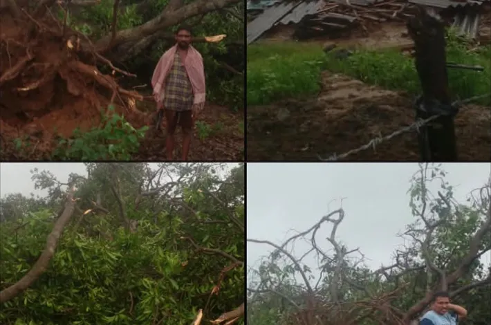 గుర్వాయిగుడెంలో గాలి వాన బీభత్సం