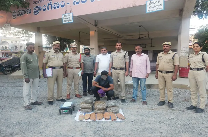 నెక్కొండలో 12 కేజీల గంజాయి పట్టివేత