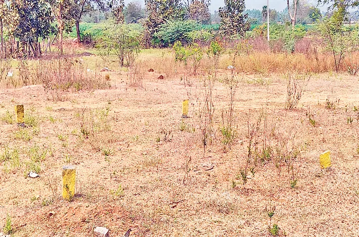 లే ‘అవుట్’!?