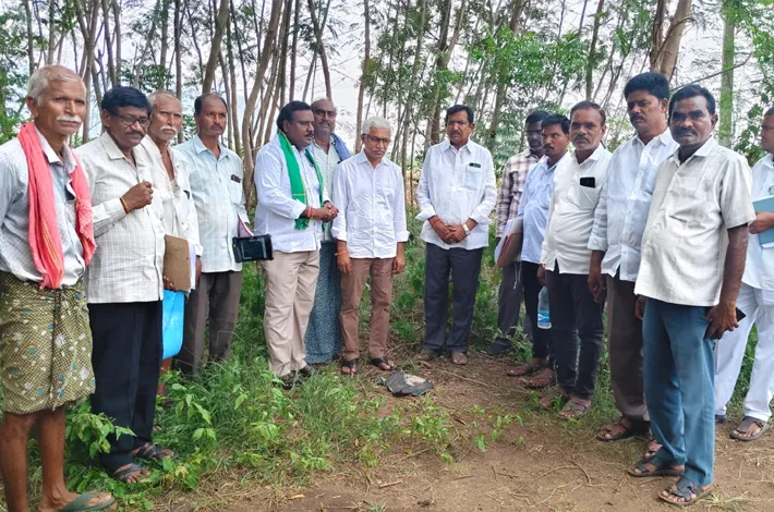 భూముల రీ-సర్వే పనులను వేగవంతం చేయాలి
