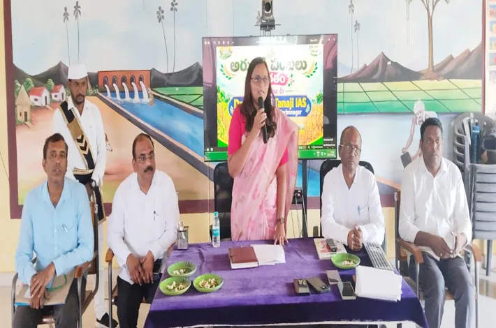 యాసంగిలో ఆరుతడి పంటల సాగు చేయ్యాలి