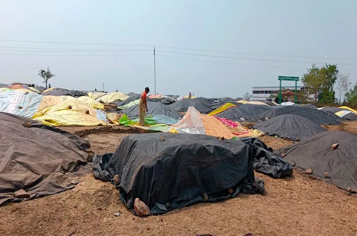 కుప్పలు పోసుకున్నాం..కనికరించండి