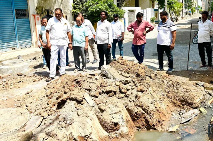 అభివృద్ధి పనుల పరిశీలన