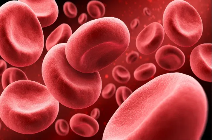 HYDలో ప్లేట్లెట్‌ టెన్షన్!