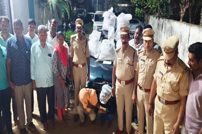 భారీ గంజాయి పట్టివేత