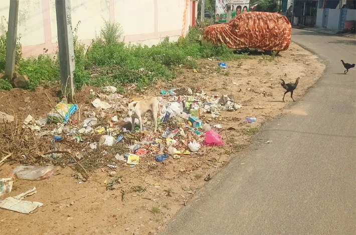 చెత్త వేయొద్దంటే ప్రత్యామ్నాయం ఏదీ?