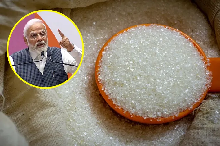 article_31420629.webp