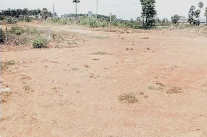 రెచ్చిపోతున్న అక్రమ వెంచర్ల మాఫియా ఆగడాలు