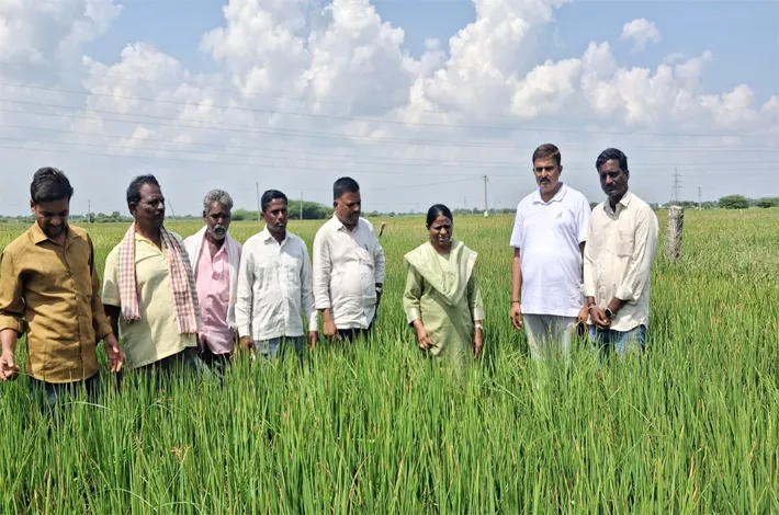 విద్యుత్ సరఫరా పెంచాలి