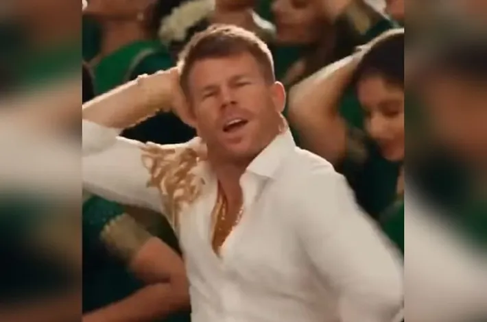 David Warner (డేవిడ్ వార్నర్) డాన్స్!