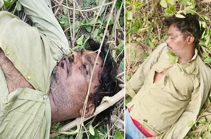 article_35237146.webp