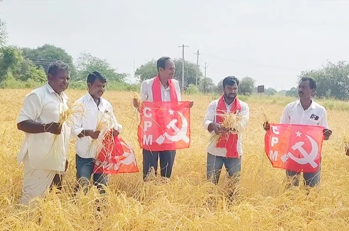 ఎండిన పంటలకు నష్టపరిహారాన్ని  చెల్లించాలి...