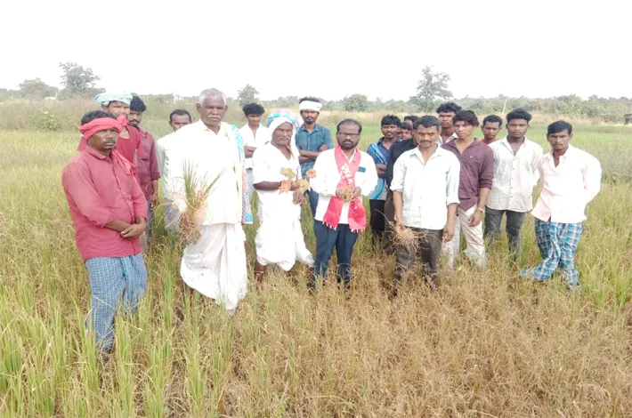 రైతుకు నష్టపరిహారం చెల్లించాలి