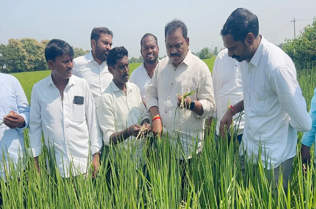 రైతులకు కనీసం ఆరు గంటలైనా కరెంట్ ఇవ్వాలి