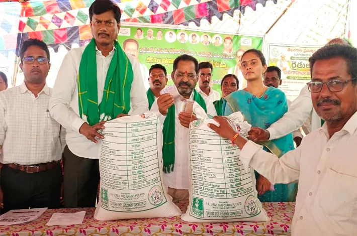article_36164934.webp