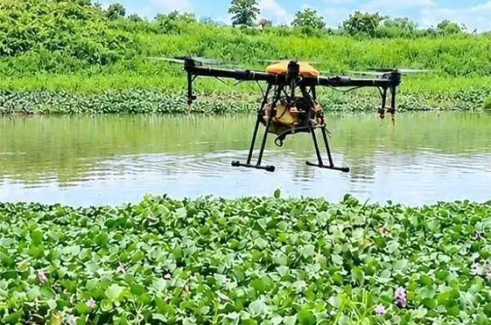 దోమల నియంత్రణకు ప్రత్యేక చర్యలు.. డ్రోన్ ద్వారా మందుల పిచికారీ