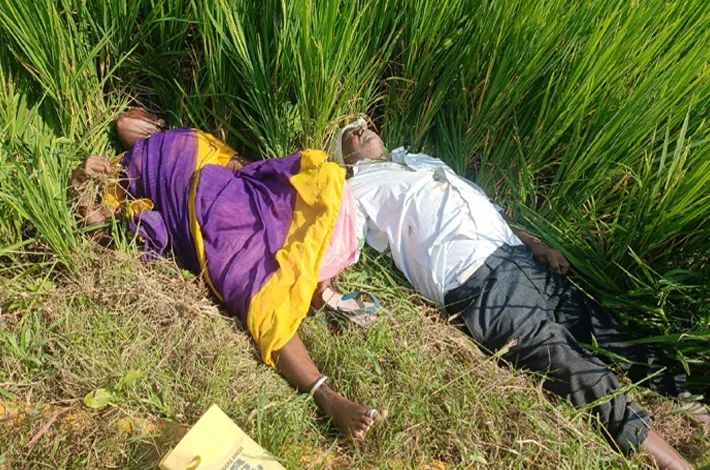 విషాదం.. విద్యుత్ షాక్ తగిలి