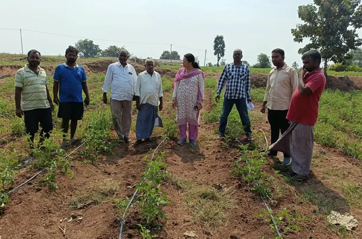 నీటి లభ్యతకు అనుగుణంగా పంటలు సాగు చేయాలి
