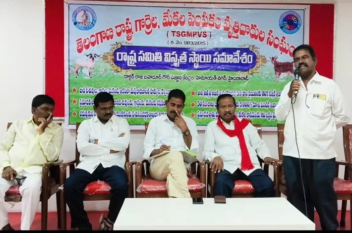 గొర్రెల మేకల పెంపకం వృత్తిదారుల సమస్యలు