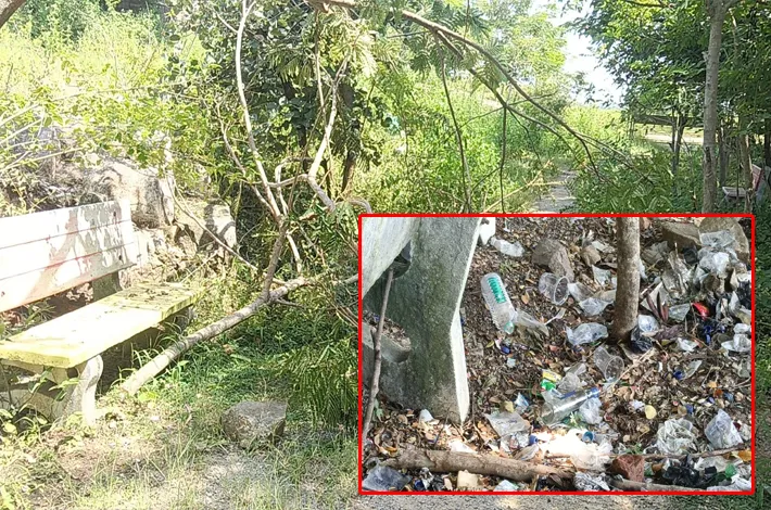 పల్లె ప్రకృతి వనంలో పచ్చదనం హతం!