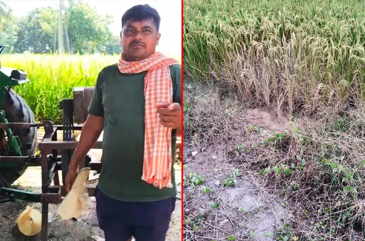 ట్రాక్టర్ జనరేటర్ తో పంటలకు నీరు