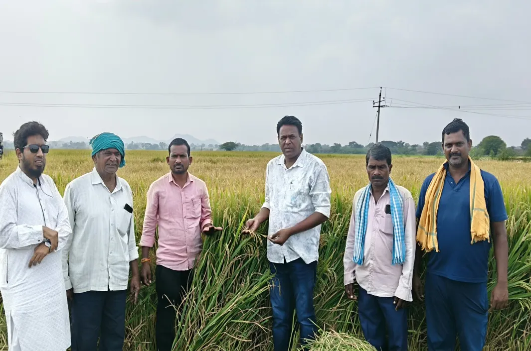 పొలంబాట పట్టిన వ్యవసాయ అధికారులు