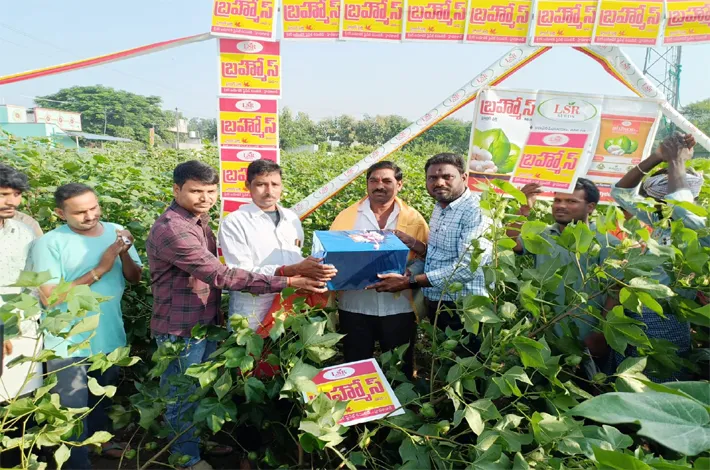 బ్రహ్మోస్ బీజీ-2 పత్తి రకంపై రైతుల సంతృప్తి