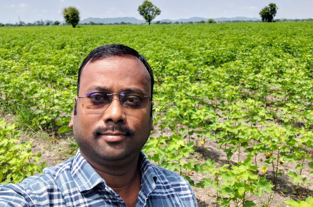యాసంగిలో ప్రత్యామ్నాయ పంటలే మేలు