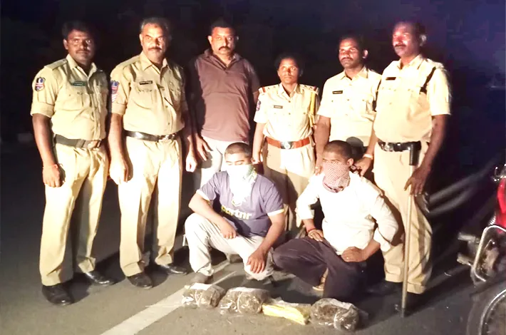 ఎండు గంజాయి పట్టివేత
