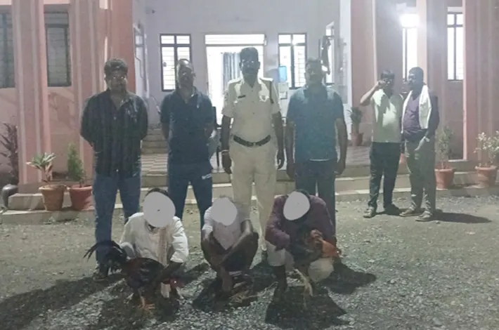 కోడిపందాల స్థావరాలపై పోలీసుల మెరుపు దాడి
