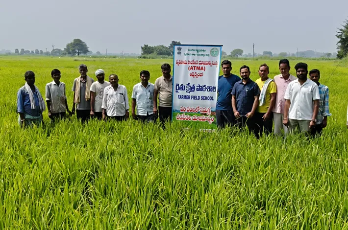 మేదరిపేటలో రైతు క్షేత్ర పాఠశాల