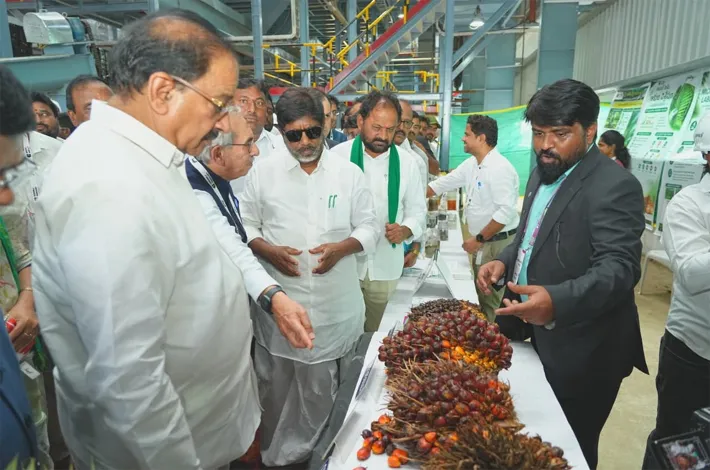 ఆయిల్‌పామ్‌తో స్థిరమైన ఆదాయం
