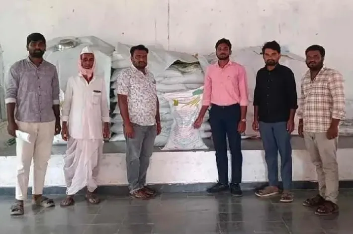 సిర్గాపూర్ లో శనగ విత్తనాల పంపిణీ: ఏవో హరికృష్ణ