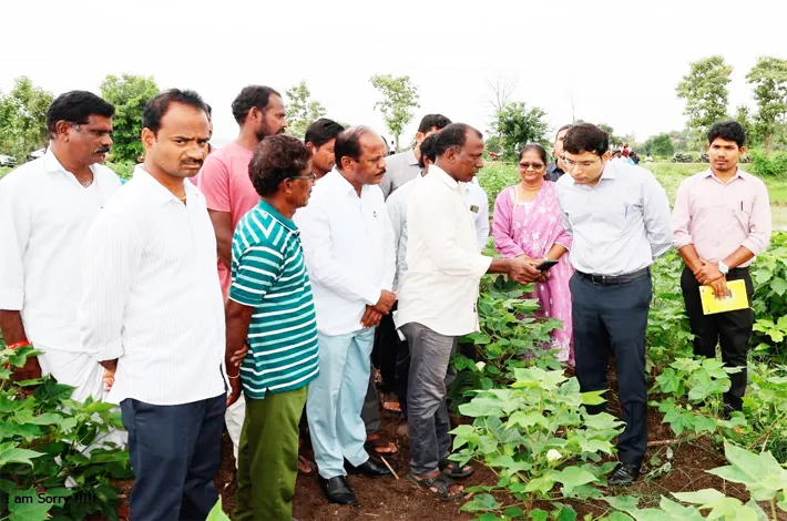 పంట నమోదు పక్కాగా ఉండాలి 