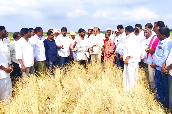 రైతులకు నిలిచి ఆదుకుంటారా..!