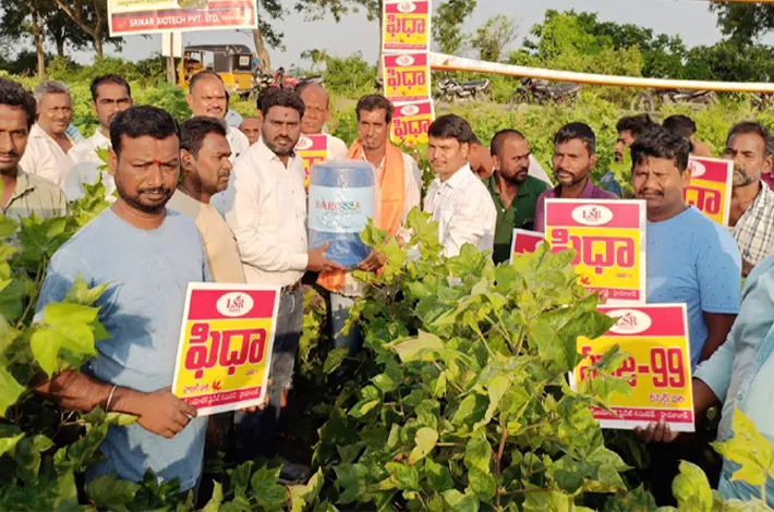 పత్తి పంట క్షేత్ర సందర్శన 
