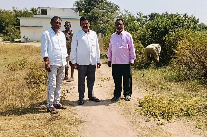 వీడిసి ఆధ్వర్యంలో పిచ్చి మొక్కల తొలగింపు