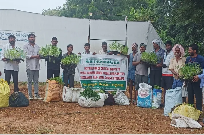 గిరిజన రైతుల అభివృద్ధే లక్ష్యం