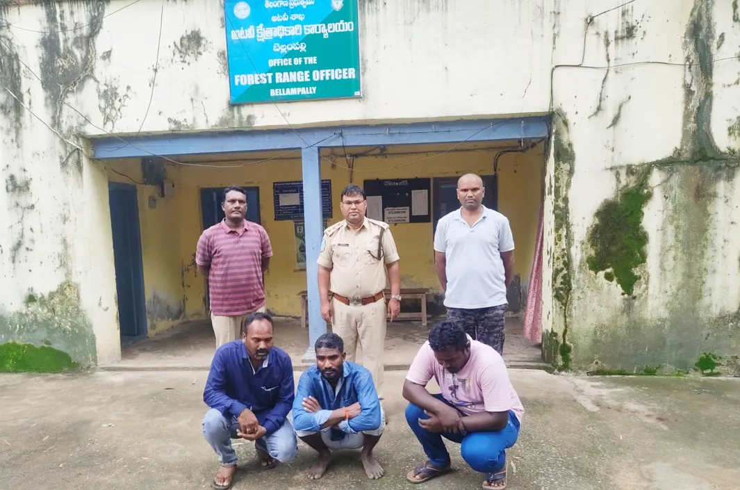అడవి పంది మాంసం కేసులో ముగ్గురిపై కేసు